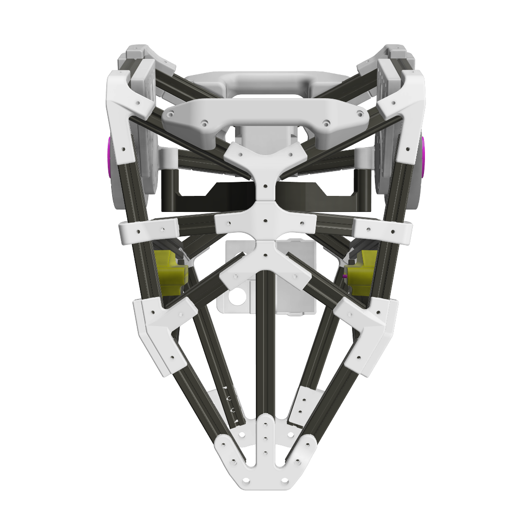 Torso & Spine